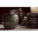 Infusión "Tormenta, Manta y Menta"