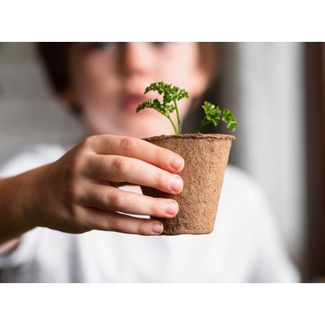 Mis primeros cultivos - Kit de Flores