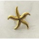 Anillo acero Estrella de Mar