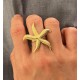 Anillo acero Estrella de Mar