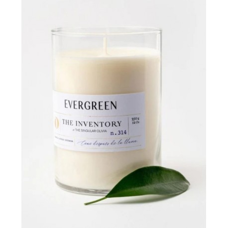 Vela Evergreen (350 gr.)