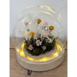 Cúpula Bosque Encantado