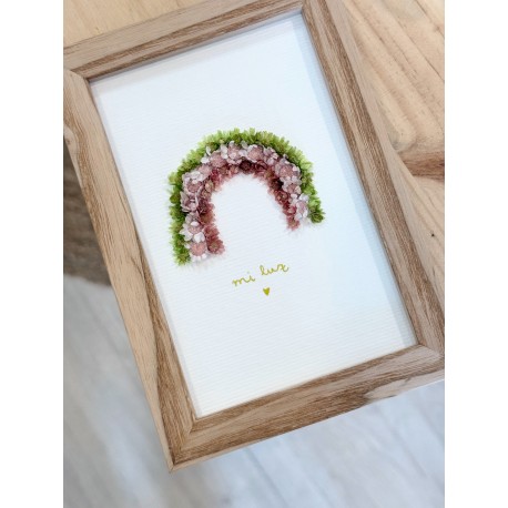 Marco Arcoíris flor Luz